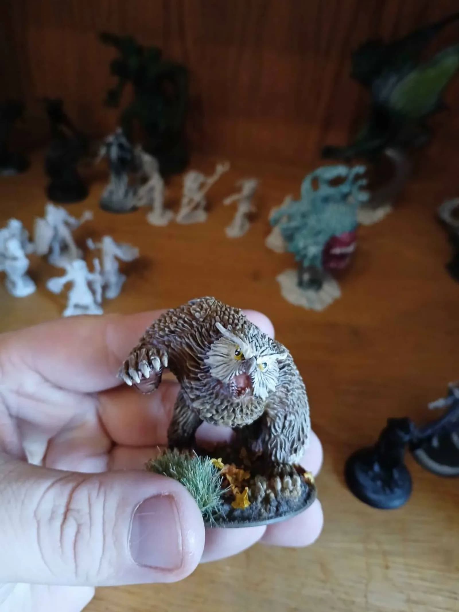 Der Eulenbär, Wächter des tiefen Waldes